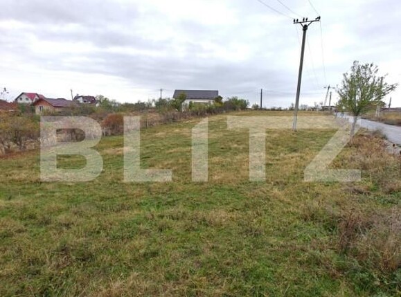 Teren de vânzare Babana - 209565TV | BLITZ Pitești | Poza3