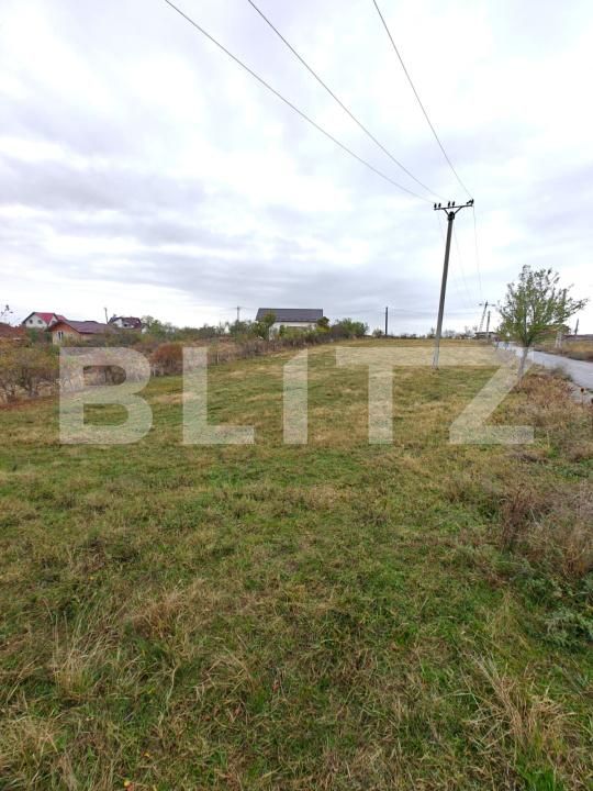 Teren de vânzare Babana - 209565TV | BLITZ Pitești | Poza3