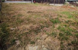 Teren intravilan 446 mp | Teren plan | Utilitati in zona | Negociabil