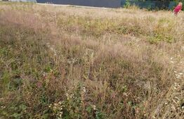Teren intravilan 1778 mp, negociabil, Trivale | Smeura