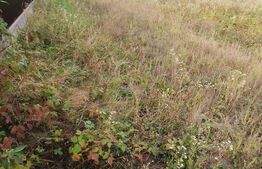 Teren intravilan 1778 mp, negociabil, Trivale | Smeura