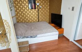 Apartament cu 2 camere, complet mobilat, cu loc de parcare, în Banat