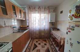 Apartament 2 Camere, 50 mp, etaj intermediar, Exercitiu