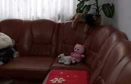 Apartament 3 camere, 70 mp, mobilat/utilat, Topoloveni