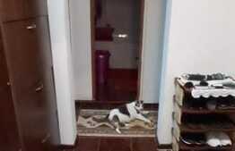 Apartament 3 camere, 70 mp, mobilat/utilat, Topoloveni