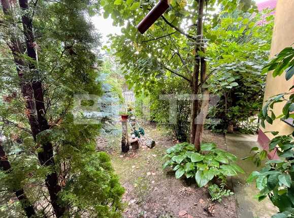 Casa de vânzare 4 camere Stefanesti - 93766CV | BLITZ Pitești | Poza16