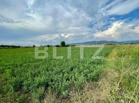 Teren de vânzare Sud - 94027TV | BLITZ Pitești | Poza1