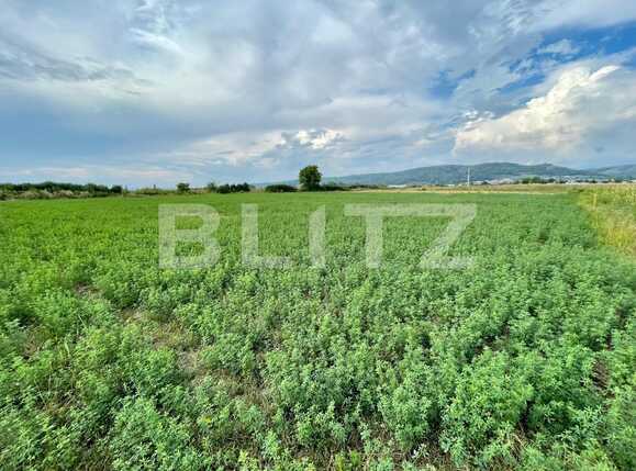 Teren de vânzare Sud - 94027TV | BLITZ Pitești | Poza5