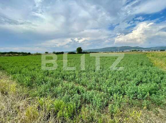 Teren de vânzare Sud - 94027TV | BLITZ Pitești | Poza2