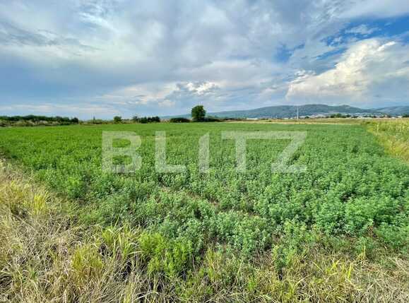 Teren de vânzare Sud - 94027TV | BLITZ Pitești | Poza3