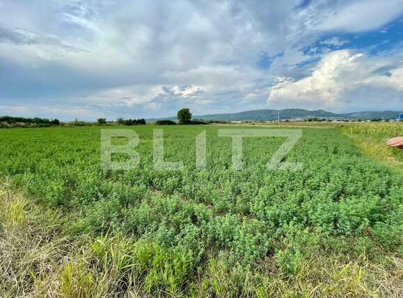 Teren de vânzare Sud - 94027TV | BLITZ Pitești | Poza4