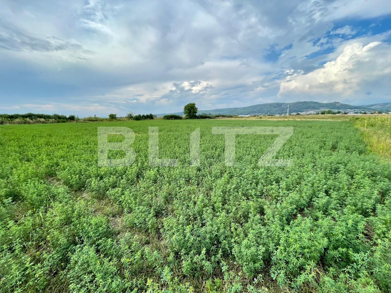 Teren de vânzare Sud - 94027TV | BLITZ Pitești | Poza5