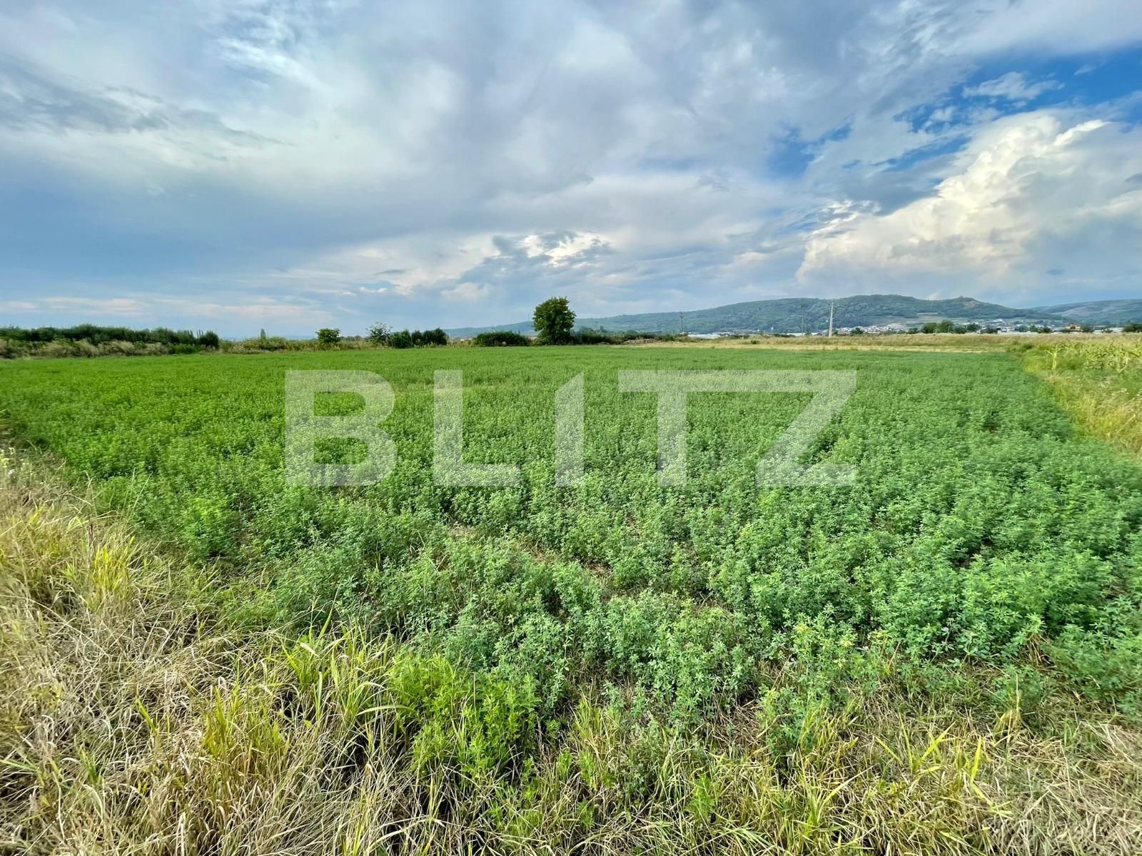 Teren de vânzare Sud - 94027TV | BLITZ Pitești | Poza3