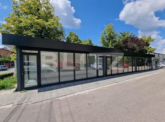 Spațiu comercial de închiriat Banat - 96462SIC | BLITZ Pitești | Poza1