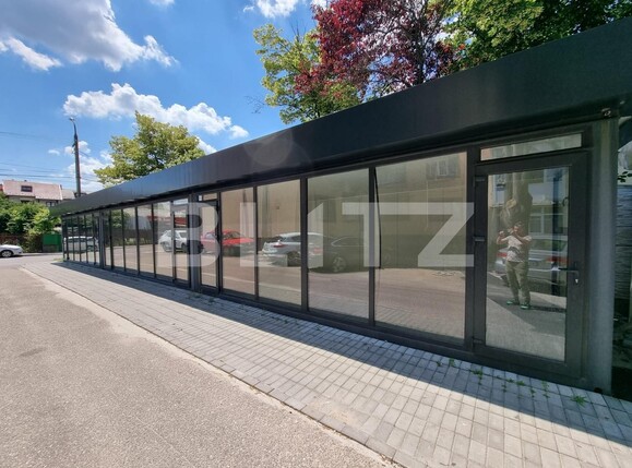 Spațiu comercial de închiriat Banat - 96462SIC | BLITZ Pitești | Poza2