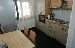Apartament 2 camere, 54 mp, mobilat/utilat, Exercitiu