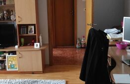 Apartament 2 camere, semidecomandat, balcon, Exercitiu