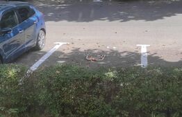 Apartament 3 camere, semidecomandat, balcon, Trivale
