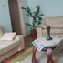 Apartament de vânzare 3 camere Trivale - 97152AV - Poza 1 din 18 | BLITZ Pitești | Poza1