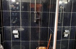 Apartament 2 camere, 25 mp, semidecomandat, zona Lunca Argesului