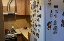 Apartament 2 camere, 25 mp, semidecomandat, zona Lunca Argesului