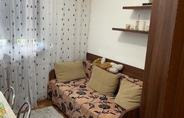 Apartament 2 camere, 25 mp, semidecomandat, zona Lunca Argesului