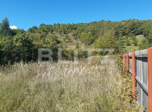 Teren de vânzare Valea Mare-Podgorie - 97671TV | BLITZ Pitești | Poza3