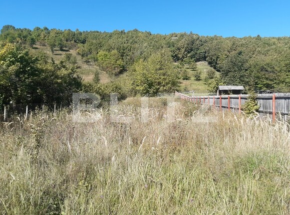 Teren de vânzare Valea Mare-Podgorie - 97671TV | BLITZ Pitești | Poza1