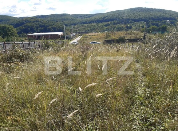 Teren de vânzare Valea Mare-Podgorie - 97671TV | BLITZ Pitești | Poza4