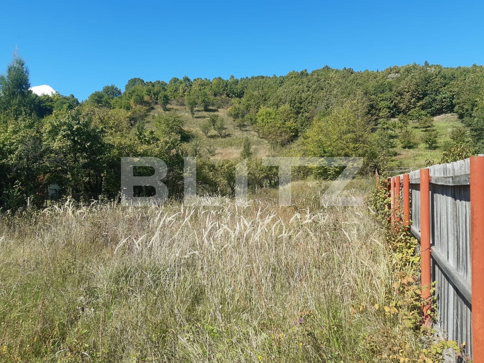 Teren de vânzare Valea Mare-Podgorie - 97671TV | BLITZ Pitești | Poza3