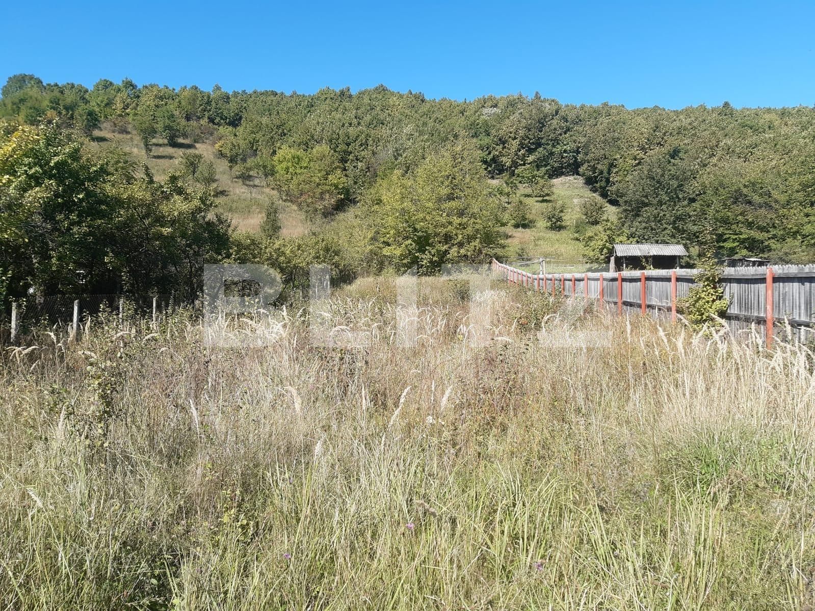 Teren de vânzare Valea Mare-Podgorie - 97671TV | BLITZ Pitești | Poza2