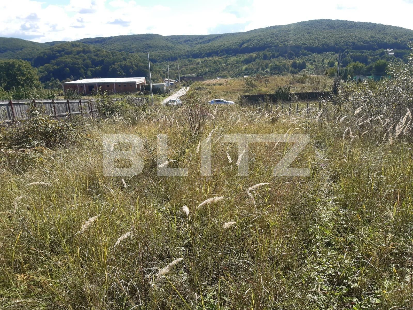 Teren de vânzare Valea Mare-Podgorie - 97671TV | BLITZ Pitești | Poza4