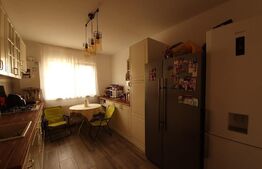 Apartament 3 camere, curte proprie, Stefanesti
