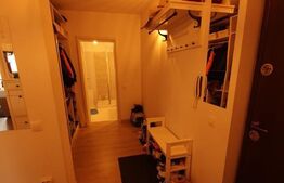 Apartament 3 camere, curte proprie, Stefanesti
