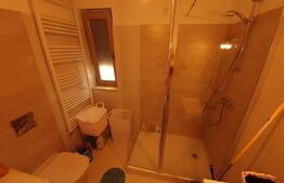 Apartament 3 camere, curte proprie, Stefanesti