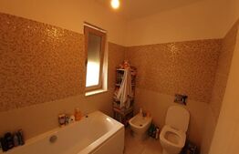 Apartament 3 camere, curte proprie, Stefanesti
