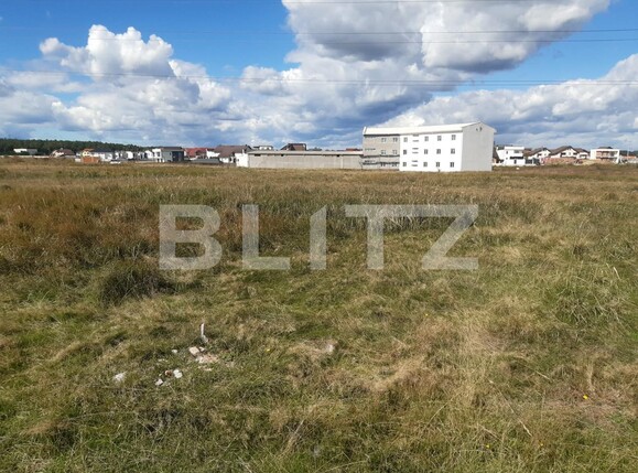 Teren de vânzare Trivale - 98655TV | BLITZ Pitești | Poza2
