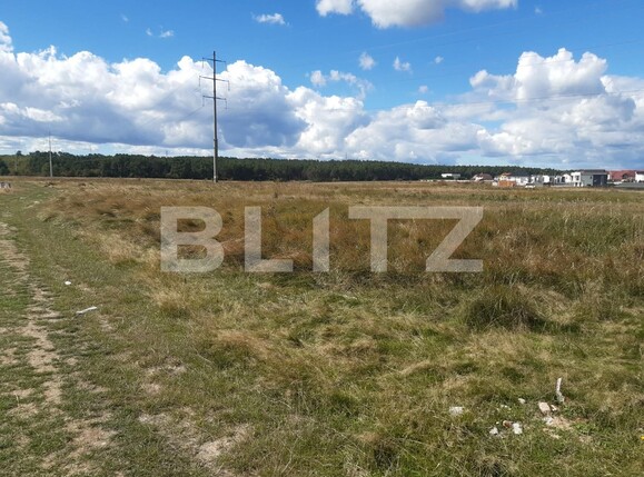 Teren de vânzare Trivale - 98655TV | BLITZ Pitești | Poza3