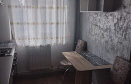 Apartament 2 camere, 54 mp, etaj intermediar, Calea Bascovului  