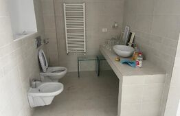 Penthouse, 4 camere, 210 mp, Trivale Platou
