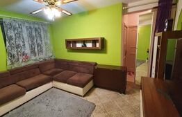 Apartament 2 camere, 42mp, zona Sud - Bulevardului Castanilor