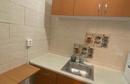 Garsoniera, 22 mp, semidecomandata, zona Baraolt