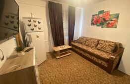 Garsoniera, 22 mp, semidecomandata, zona Baraolt