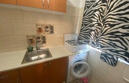 Garsoniera, 22 mp, semidecomandata, zona Baraolt