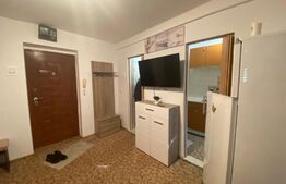 Garsoniera, 22 mp, semidecomandata, zona Baraolt