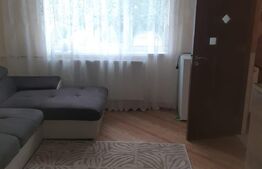 Garsoniera semidecomandata, parter, 27 mp, Cantacuzino