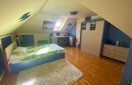 Casa individuala 7 camere, 240 mp, zona Centrala