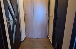 Apartament 2 camere, decomandat, 40mp, Malu Rosu