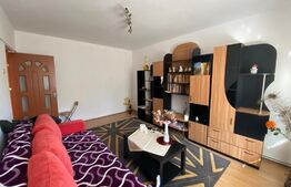 Apartament 2 camere decomandat, 46 mp, Nord