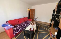 Apartament 2 camere decomandat, 46 mp, Nord